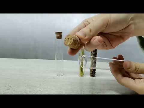 Tubi in vetro con tappo 25x100 mm