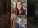COPRIPIATTO IN ACCIAIO INOX CON BUCO 