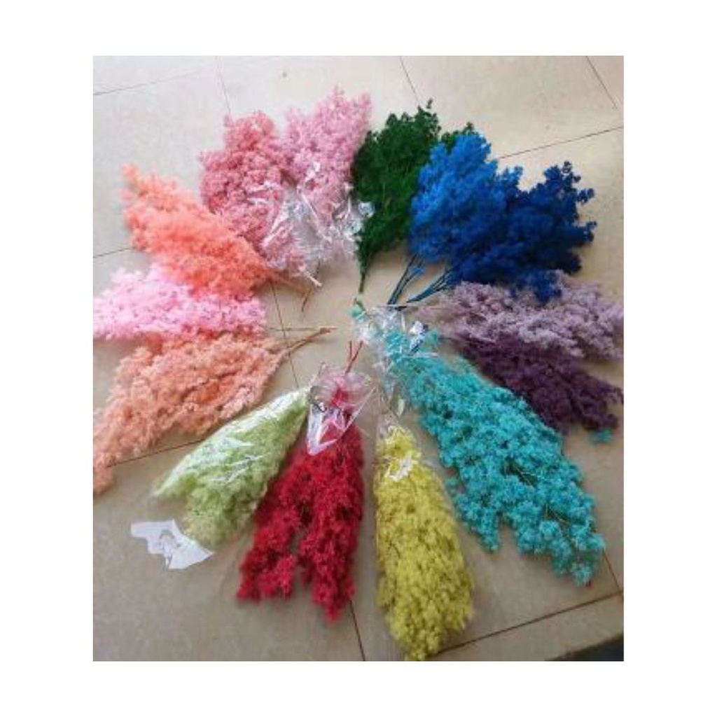 FELCE MING STABILIZZATA   