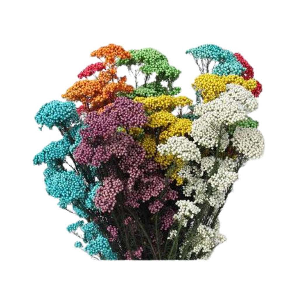 FIORI DI RISO STABILIZZATI