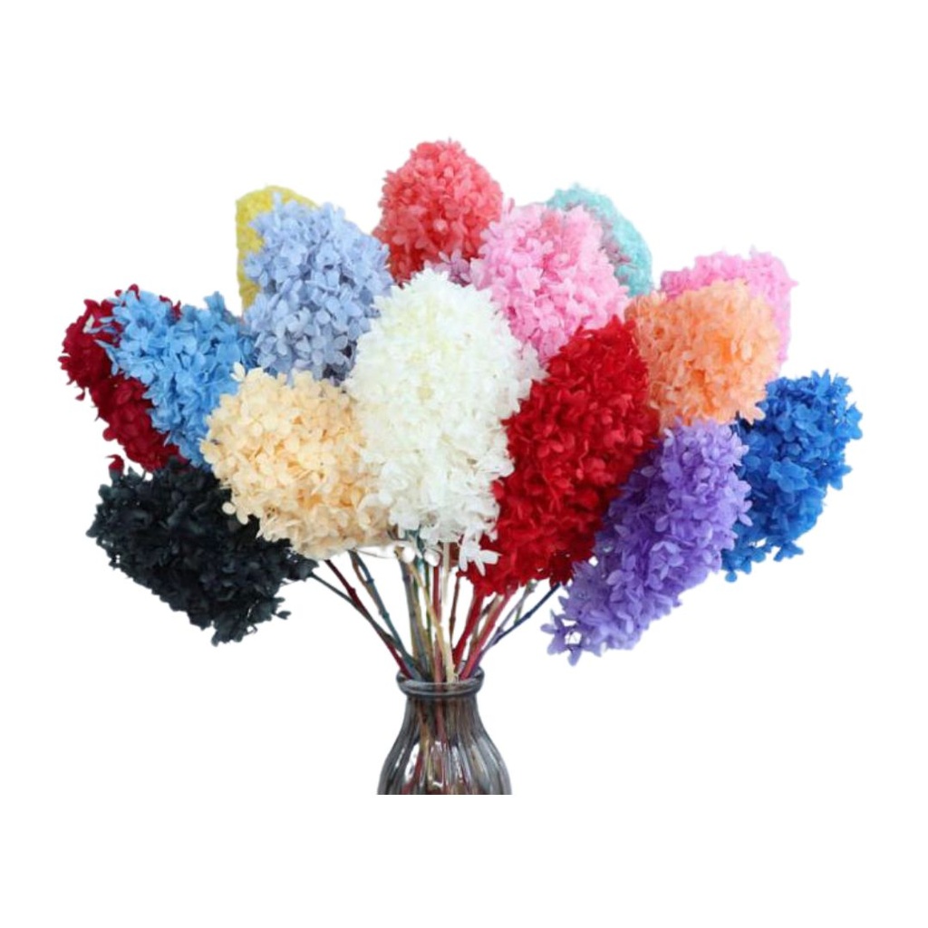 ORTENSIA A TORRE CON STELO STABILIZZATA 