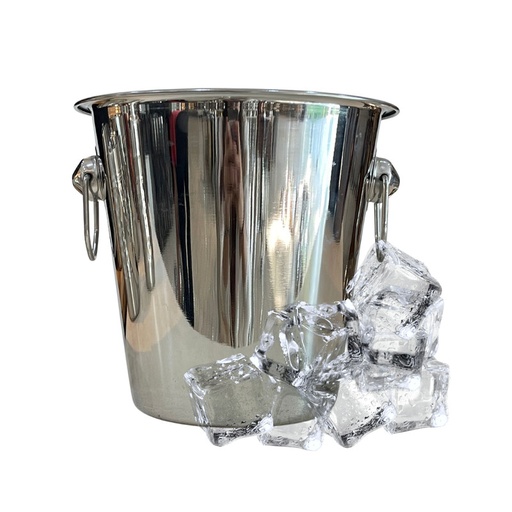 SECCHIELLO GHIACCIO CON MANICI IN ACCIAIO